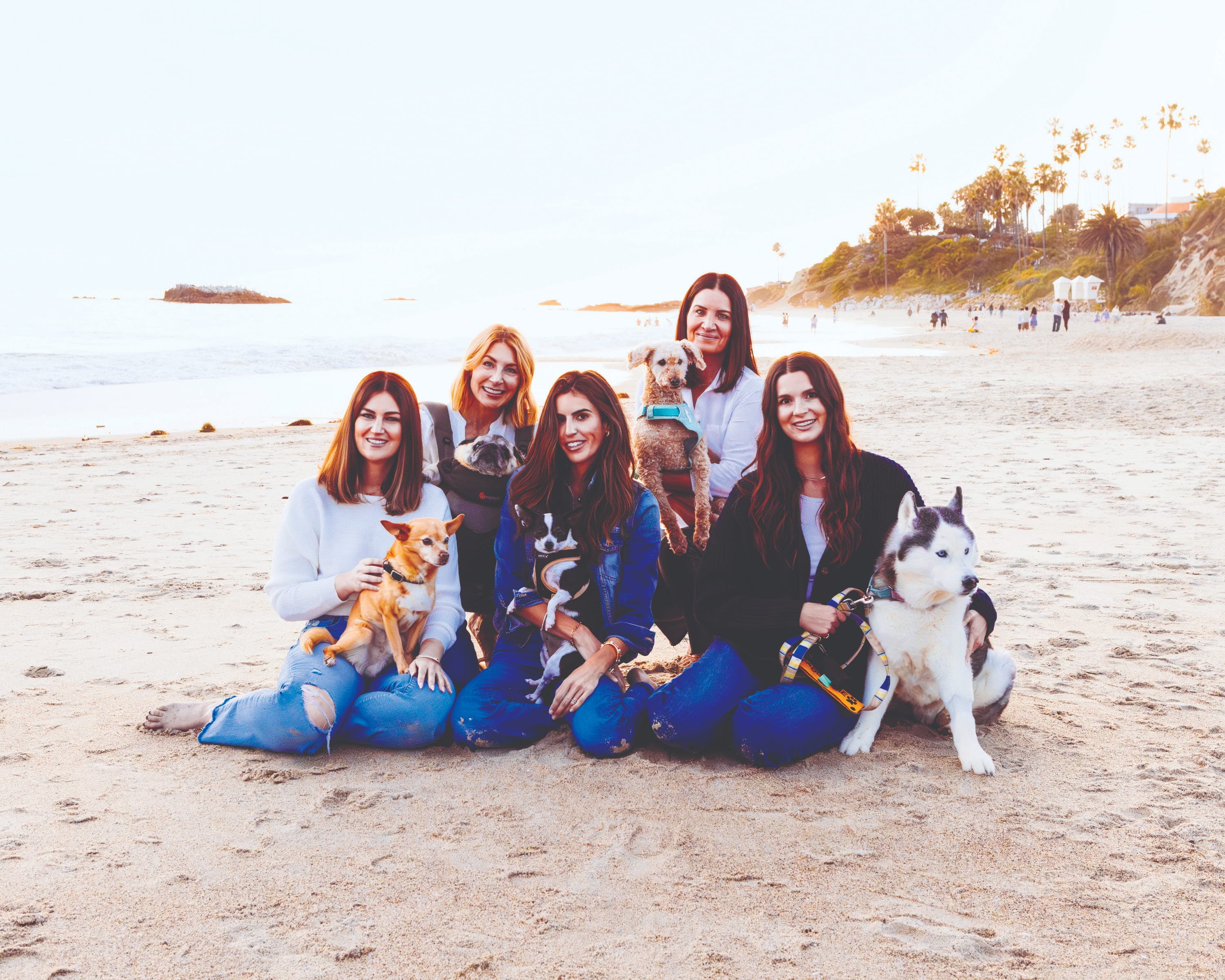 Dogs at Unconditional Rescue in Laguna Beach